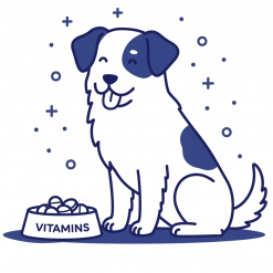 Витамины, добавки и нутрицевтики