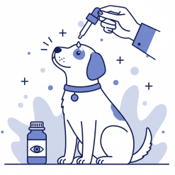 Лечение глаз (Офтальмология)