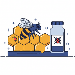 Пчеловодство