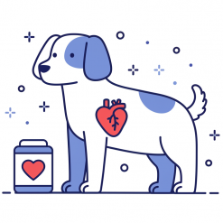 Сердечно-сосудистые препараты