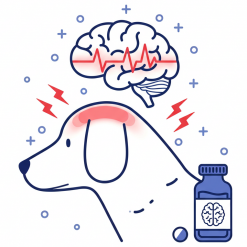 Противоэпилептические препараты